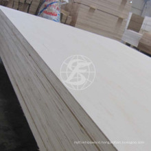 High Quality HPL Plywood For Israel Market